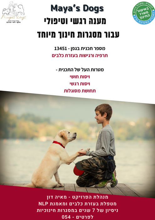 רגישות והעצמה דרך כלבים